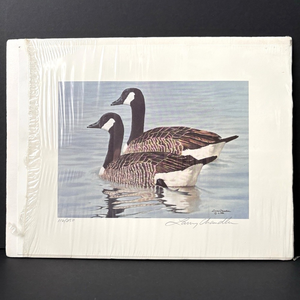 Larry Chandler Canada Geese Birds Art Print Signed Numbered‎ 1986 10" x 13"